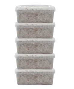 5 Zauberpilz-Zuchtsets im Angebot – Mondo®