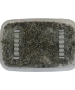 Bezugsquellen für kambodschanische Zauberpilze GetMagic