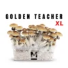 Mondo® Golden Teacher XL Zauberpilz-Zuchtset