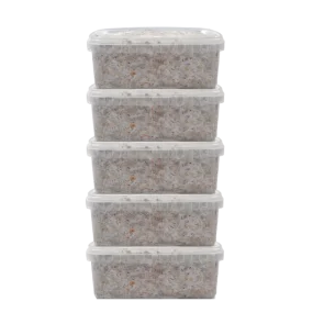 GetMagic® Zauberpilz-Zuchtsets, 5er-Pack